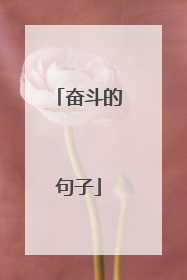 奋斗的句子