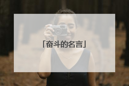 奋斗的名言