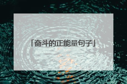 奋斗的正能量句子