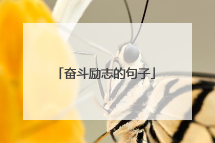 奋斗励志的句子