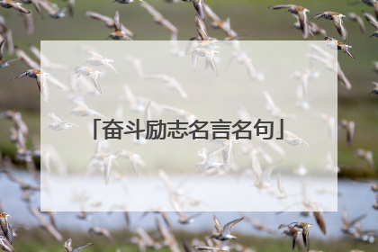 奋斗励志名言名句