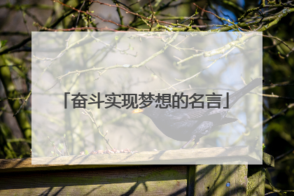 奋斗实现梦想的名言