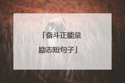 奋斗正能量励志短句子