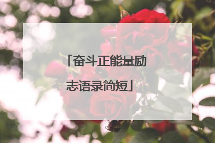 奋斗正能量励志语录简短