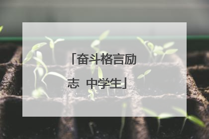 奋斗格言励志 中学生