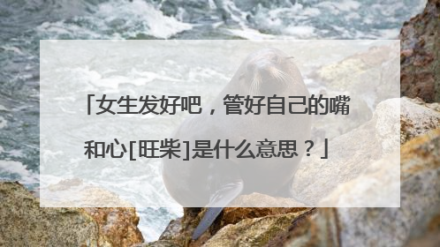 女生发好吧，管好自己的嘴和心[旺柴]是什么意思？