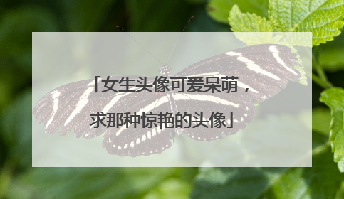 女生头像可爱呆萌,求那种惊艳的头像