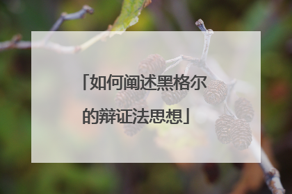 如何阐述黑格尔的辩证法思想