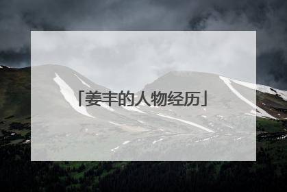 姜丰的人物经历