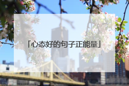 心态好的句子正能量