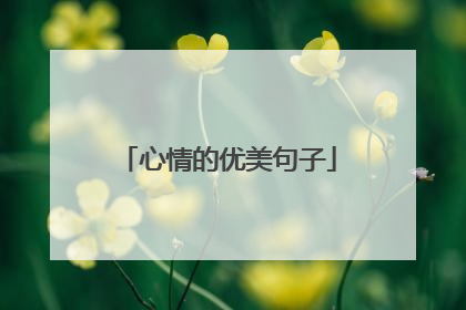 心情的优美句子