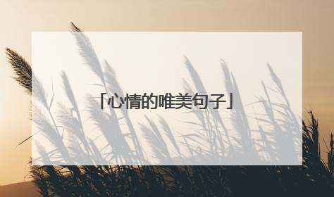 心情的唯美句子