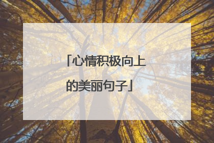 心情积极向上的美丽句子