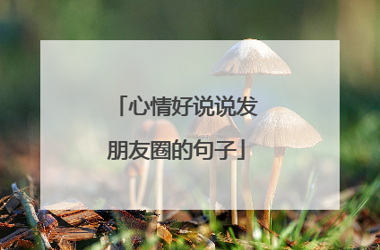 心情好说说发朋友圈的句子