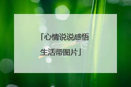 心情说说感悟生活带图片