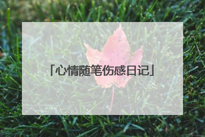 心情随笔伤感日记