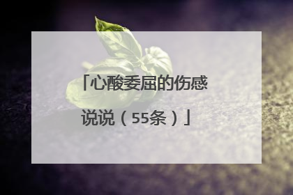 心酸委屈的伤感说说(55条)