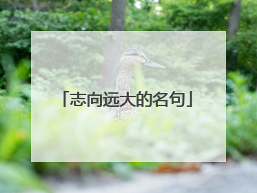 志向远大的名句