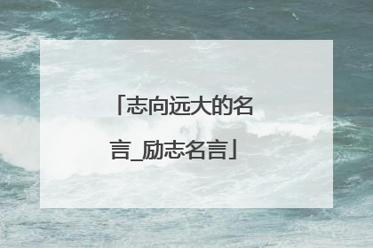 志向远大的名言_励志名言