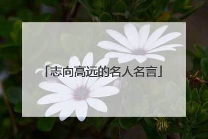 志向高远的名人名言