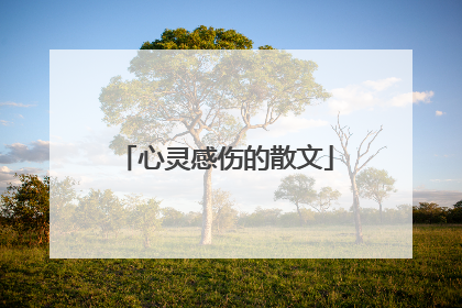 心灵感伤的散文