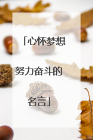 心怀梦想努力奋斗的名言