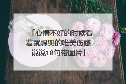 心情不好的时候看着就想哭的唯美伤感说说10句带图片