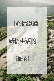 心情说说感悟生活的语录