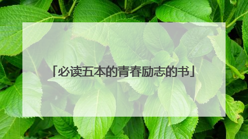 必读五本的青春励志的书