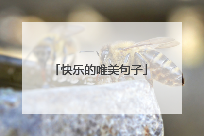 快乐的唯美句子