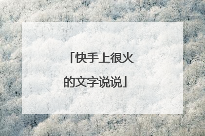 快手上很火的文字说说
