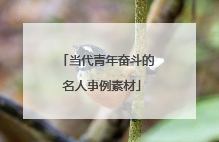 当代青年奋斗的名人事例素材