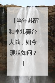 当年苏醒和李炜舞台大战,如今现状如何?