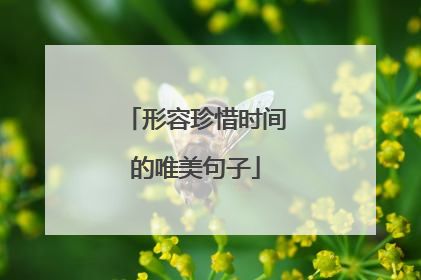 形容珍惜时间的唯美句子