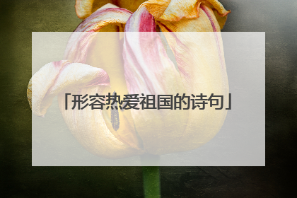 形容热爱祖国的诗句