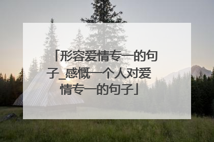 形容爱情专一的句子_感慨一个人对爱情专一的句子