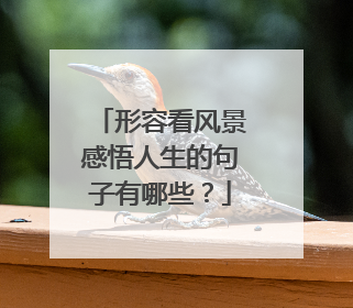 形容看风景感悟人生的句子有哪些？
