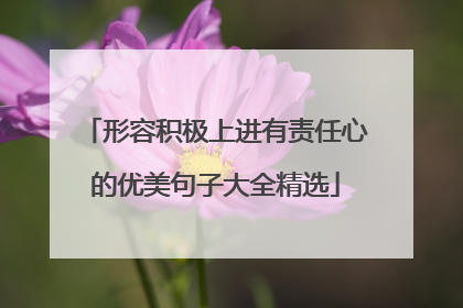 形容积极上进有责任心的优美句子大全精选
