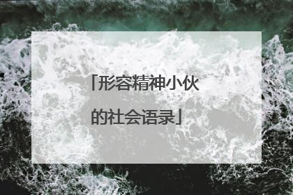 形容精神小伙的社会语录