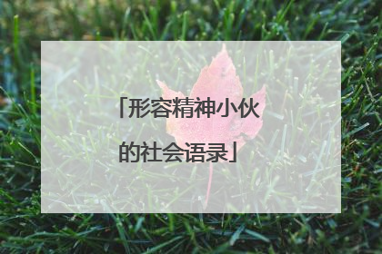 形容精神小伙的社会语录