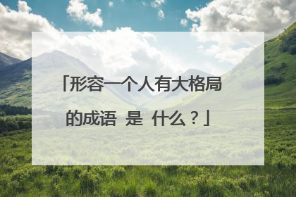 形容一个人有大格局 的成语 是 什么?