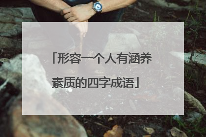 形容一个人有涵养素质的四字成语