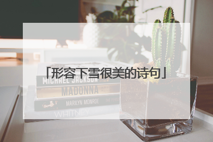 形容下雪很美的诗句