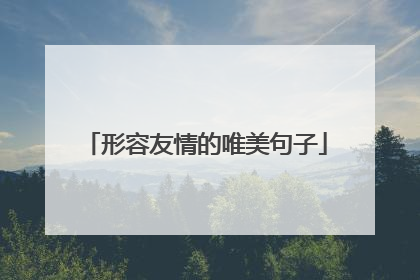 形容友情的唯美句子