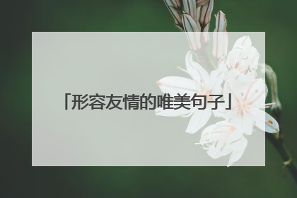 形容友情的唯美句子