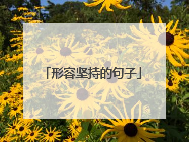 形容坚持的句子