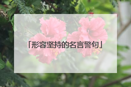 形容坚持的名言警句