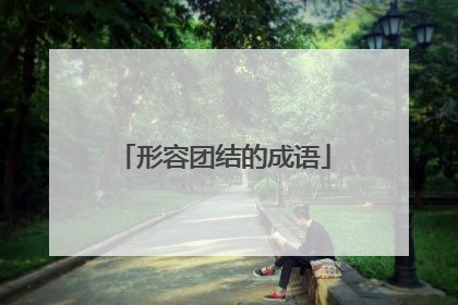 形容团结的成语