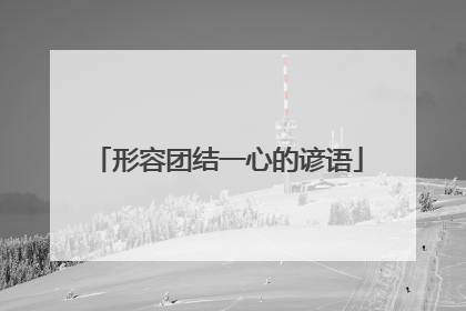 形容团结一心的谚语