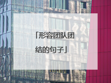 形容团队团结的句子